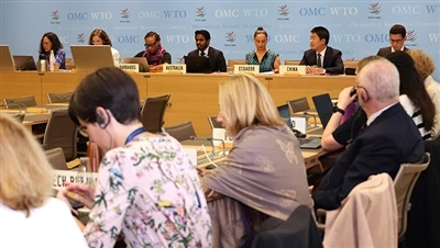 WTO、中国の要請を受けインフレ抑制法に基づく米国の税額控除を見直しへ